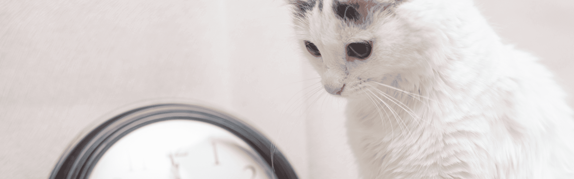 Wie berechne ich mein Gehalt in der Teilzeit?